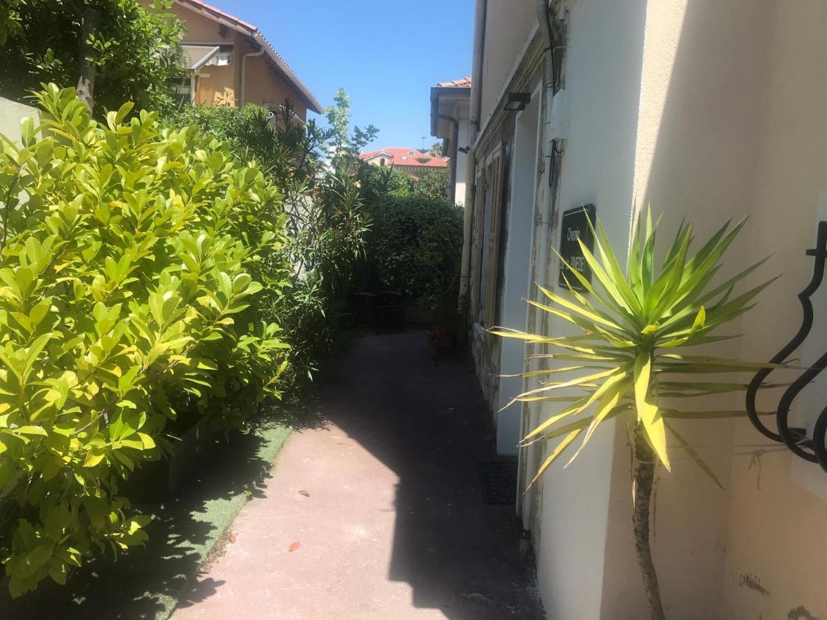 Villa Mon Reve Apartements Nice Exterior photo